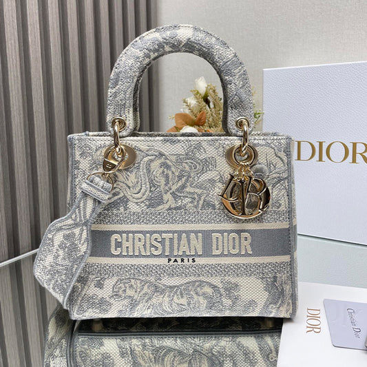 Dior Christian Bag Old Gray Color