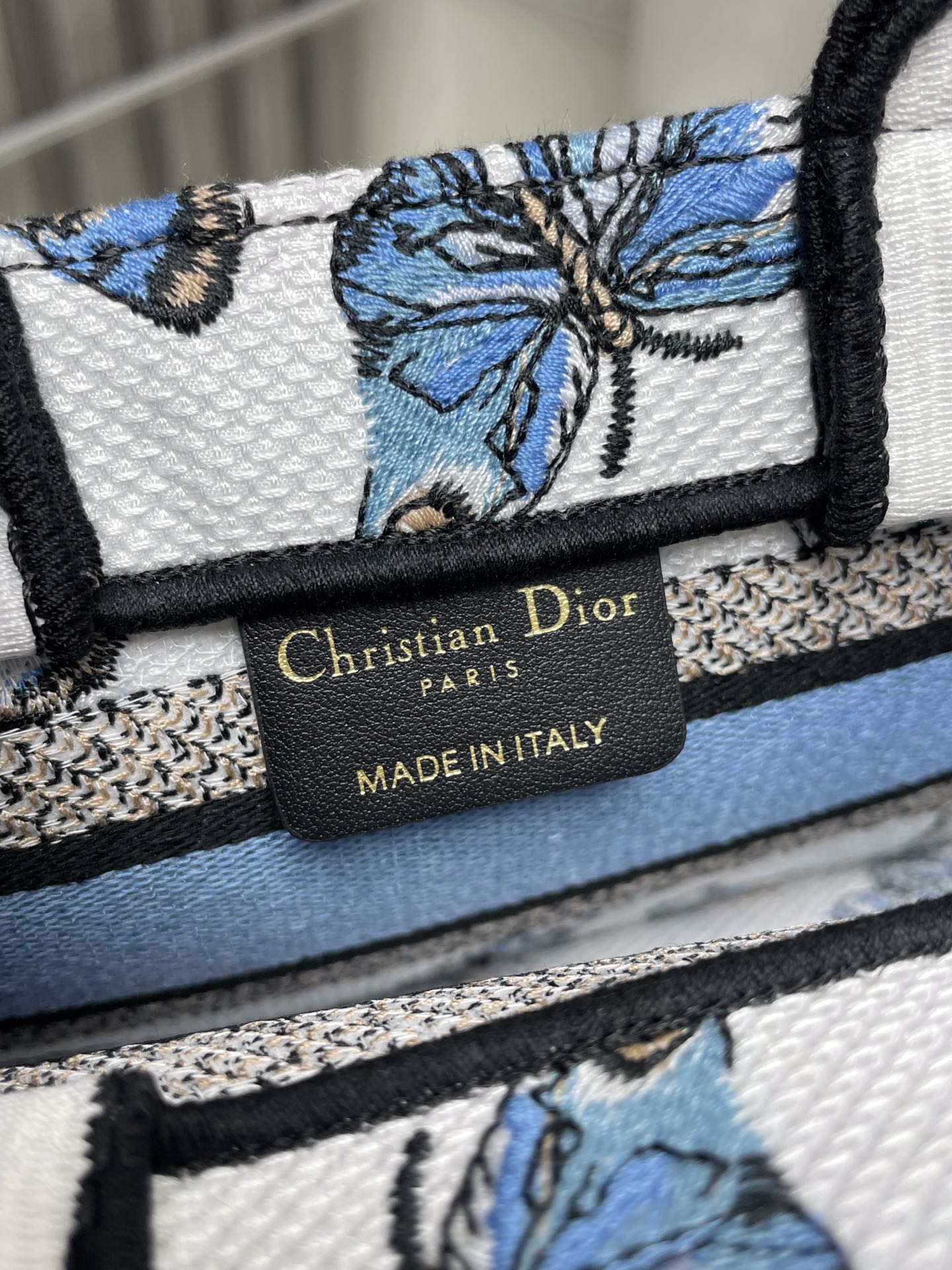 Dior Book Tote Bag Blue Butterfly Color